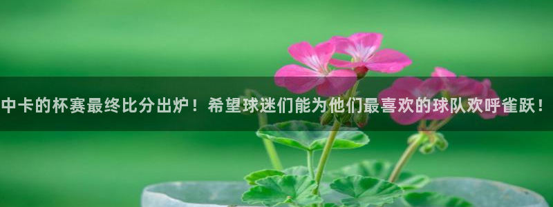 中卡的杯赛最终比分出炉！希望球迷们能为他们最喜欢的球队欢呼雀