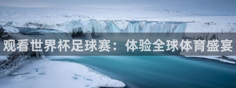  观看世界杯足球赛：体验全球体育盛宴