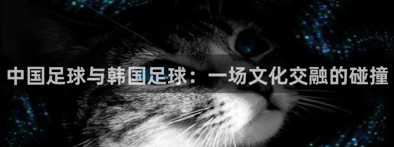 中国足球与韩国足球：一场文化交融的碰撞