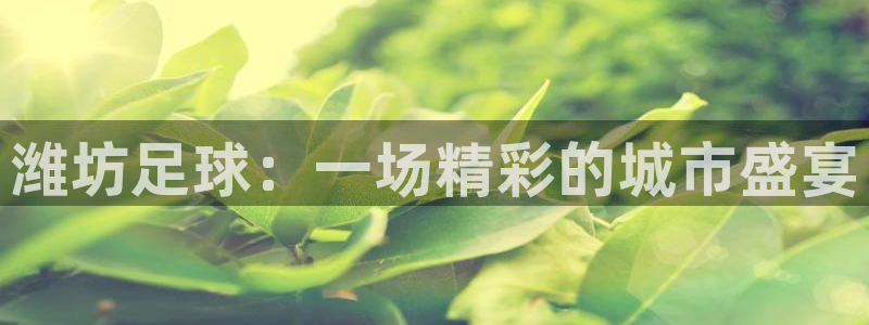  潍坊足球：一场精彩的城市盛宴