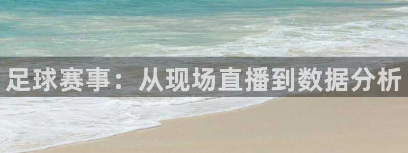 足球赛事：从现场直播到数据分析