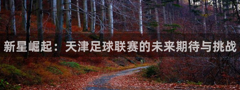  新星崛起：天津足球联赛的未来期待与挑战