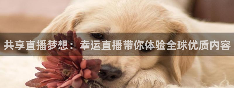 搜球吧直播：共享直播梦想：幸运直播带你体验全球优质内容
