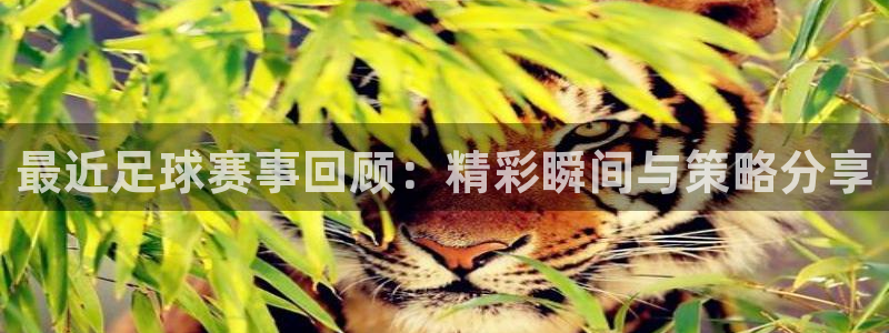 最近足球赛事回顾：精彩瞬间与策略分享