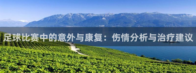 足球比赛中的意外与康复：伤情分析与治