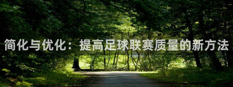 简化与优化：提高足球联赛质量的新方法
