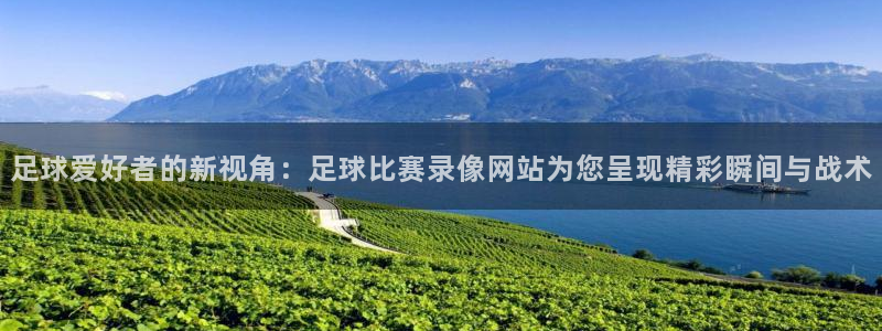 足球爱好者的新视角：足球比赛录像网站