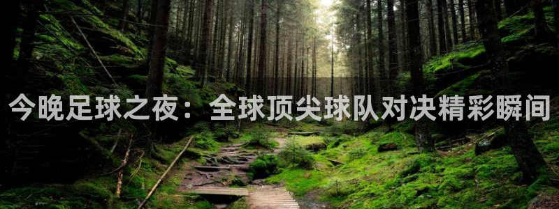 今晚足球之夜：全球顶尖球队对决精彩瞬