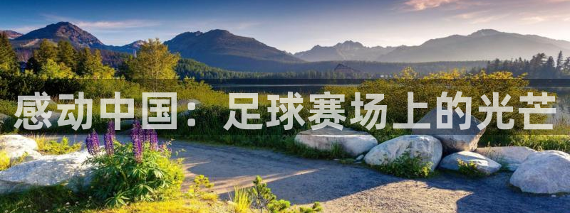 感动中国：足球赛场上的光芒