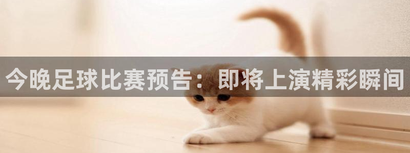 今晚足球比赛预告：即将上演精彩瞬间