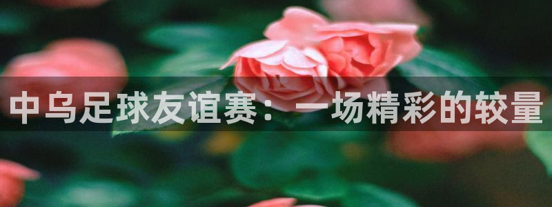 中乌足球友谊赛：一场精彩的较量