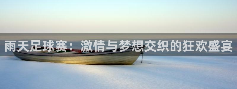 雨天足球赛：激情与梦想交织的狂欢盛宴