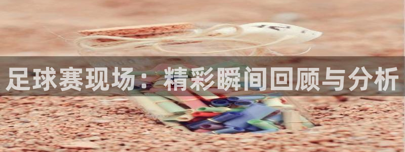 足球赛现场：精彩瞬间回顾与分析