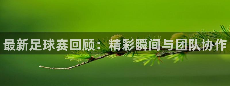 最新足球赛回顾：精彩瞬间与团队协作