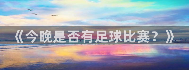 《今晚是否有足球比赛？》