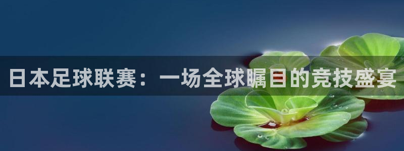  日本足球联赛：一场全球瞩目的竞技盛宴