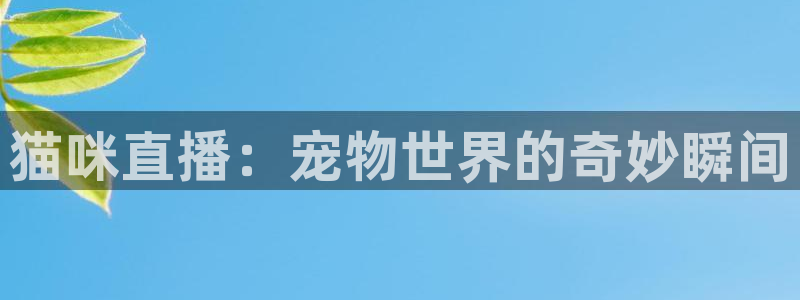 nba搜球吧直播