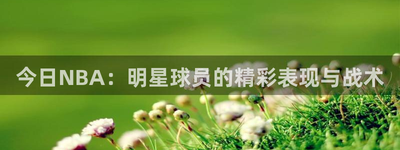 搜球吧8直播免费观看：今日NBA：明星球员的精彩表现与战术