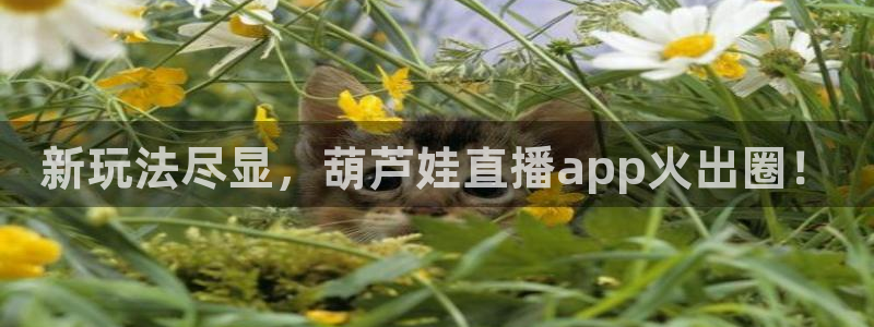 搜球吧nba视频直播