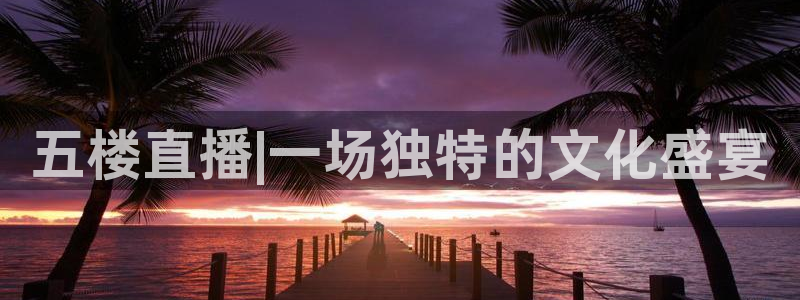 搜球体育下载：五楼直播|一场独特的文化盛宴
