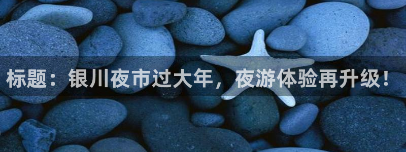 搜球体育官网：标题：银川夜市过大年，夜游体验再升级！